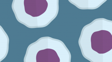 Human eggs banner