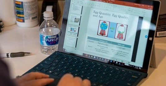 A person working on a powerpoint for fertilization and egg freezing