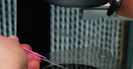 Slow freezing Vs. Vitrification