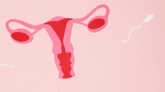 Sperm swimming away from an ovary